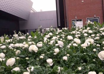 Uhren so weit das Auge sieht? Von wegen. Es gibt in Basel auch zarte Schmuckstücke zu entdecken.