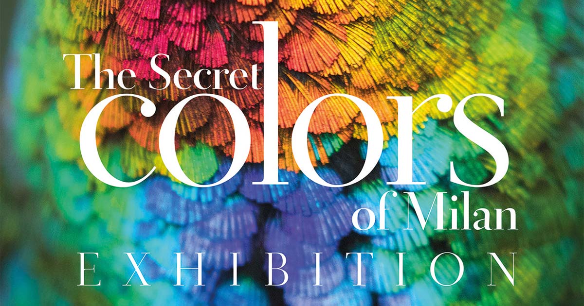 Mit den „Secret colors of Milan“ wird das italienische Feingefühl für die Welt der Farben erkundet.