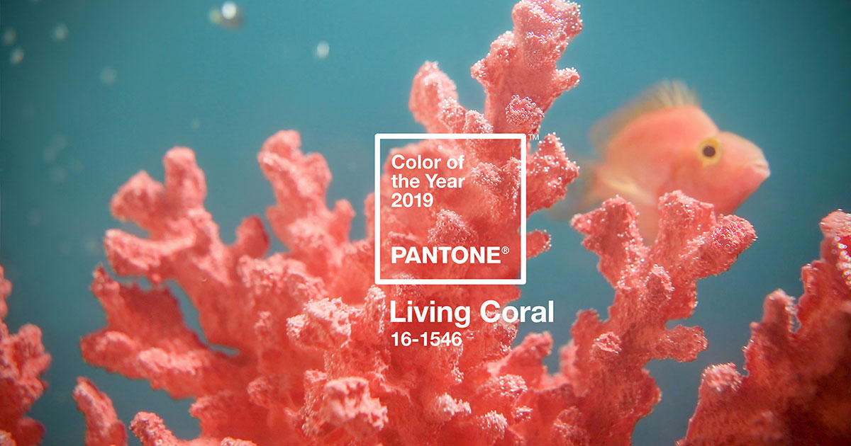 Living Coral ist die Pantone Color of the Year 2019.