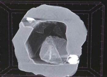 Die Röntgenaufnahme zeigt die kleine Diamantenkugel im Hohlraum (Foto: alrosa.ru).