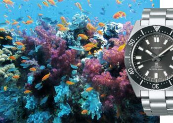 Seikos moderne Neuinterpretation der Scuba Diver¹s von 1965.