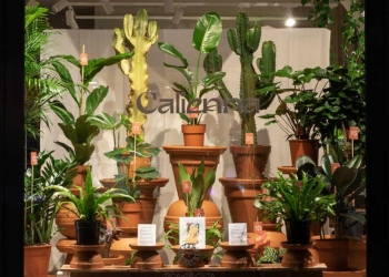 Calienna-Schaufenster