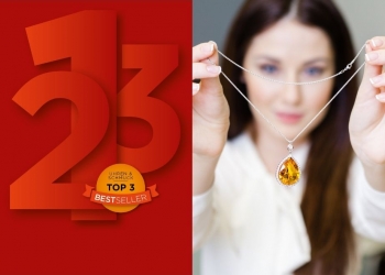 Bestseller_Verkaufsargumente