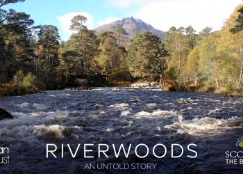 Thomas Sabo: 360 Grad-Marketing mit Nachhaltigkeit