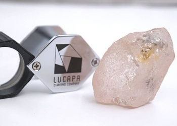 The Lulo Rose © Lucapa