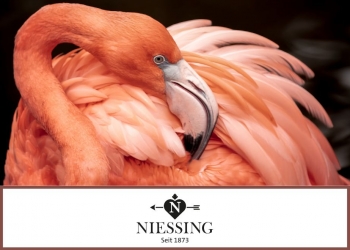 Niessing_Now_Edition_Flamingo_Anhänger