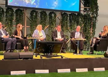 Der Opal ist der Farbedelstein des Jahres 2023