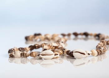 Steinzeitschmuck_Meeresschnecken