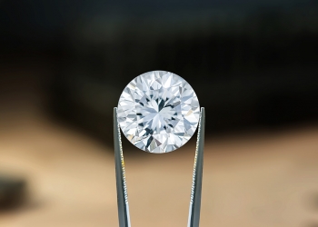 Potentiale für den Fachhandel