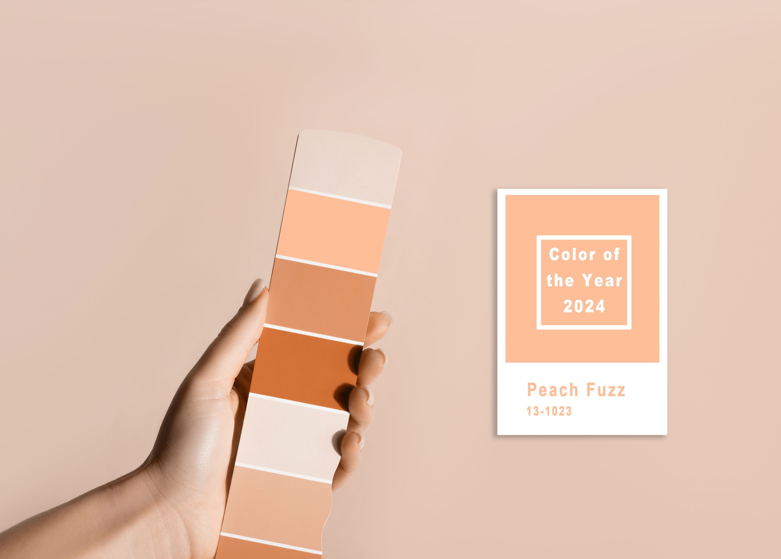 Pantone-Farbe-des-Jahres-2024-Peach-Fuzz-scaled