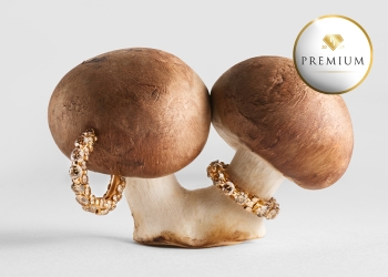 Leo Wittwer Haute Joaillerie The Ultimate