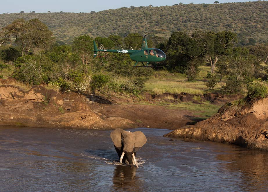 Mara Safari Chronograph von Tutima Glashütte unterstützt das Mara Elephant Project Elefant