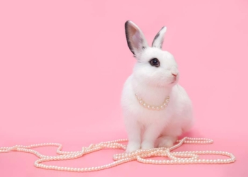 oster-angebot-schmuck-juwelier