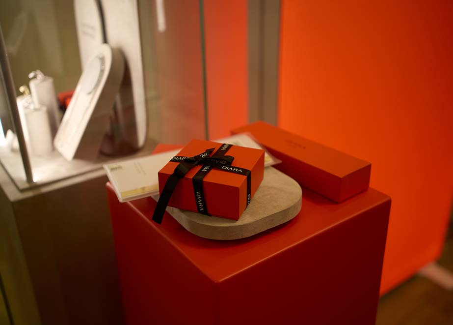 Diara Studios R. Beier & Sohn Event 5