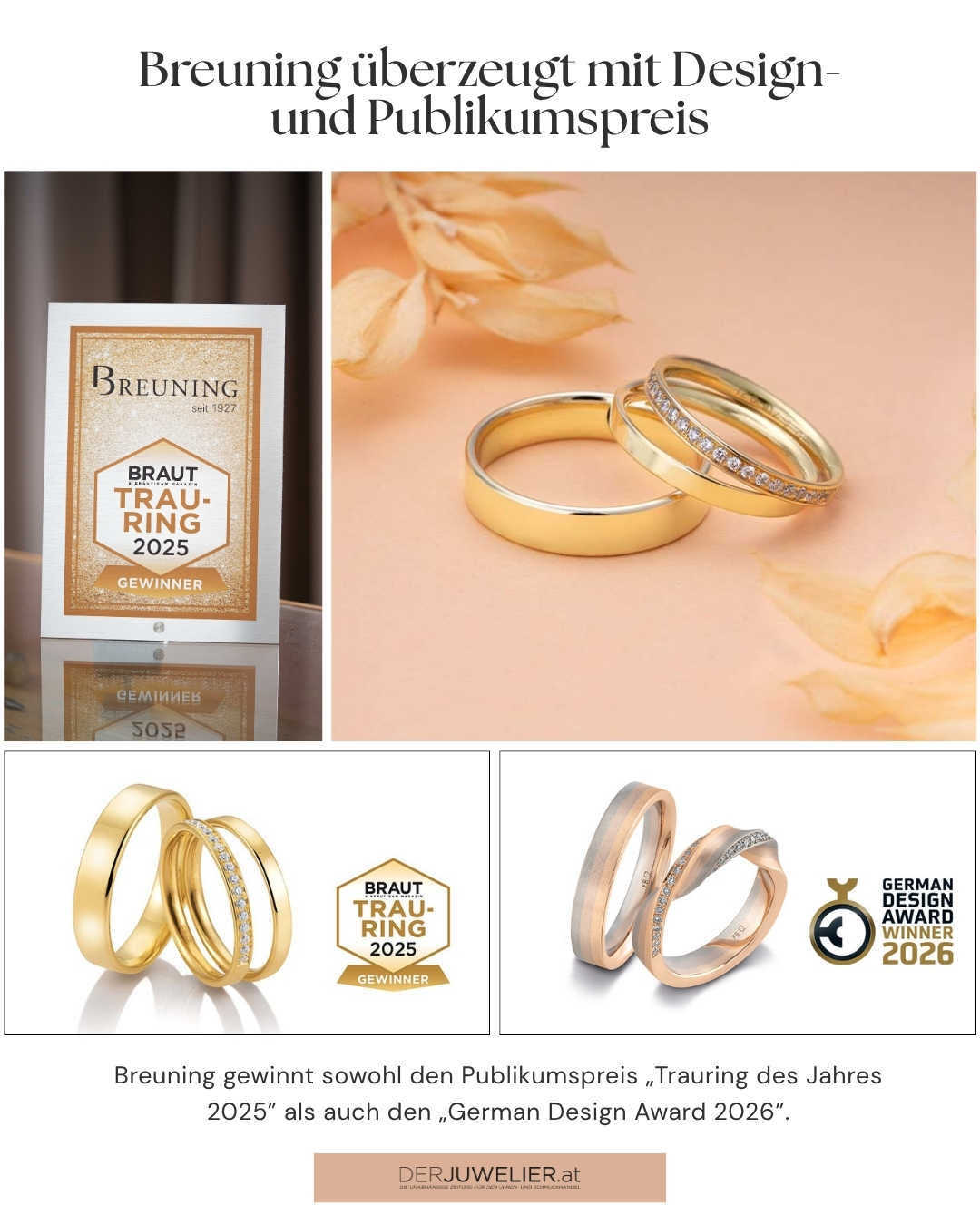 Breuning Auszeichungen DJ