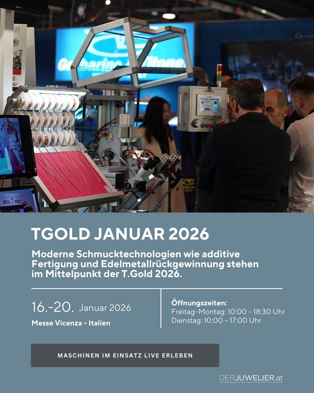 TGOLD Jänner Vicenzaroro 2026