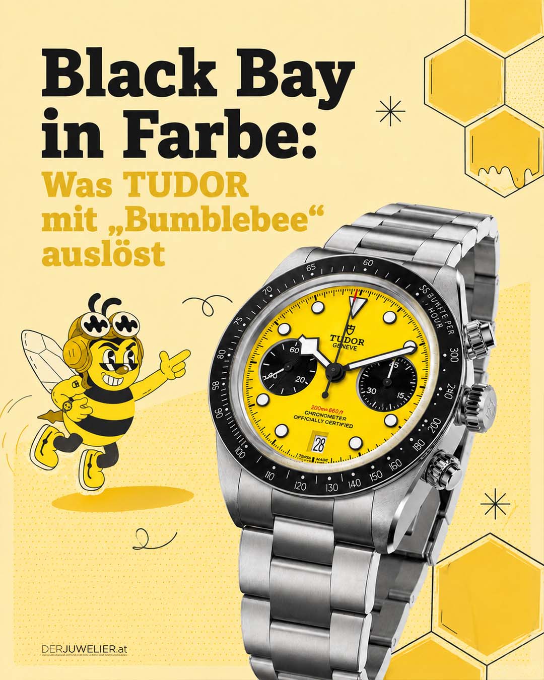 Tudor Black Bay Bumblebee Info DJ